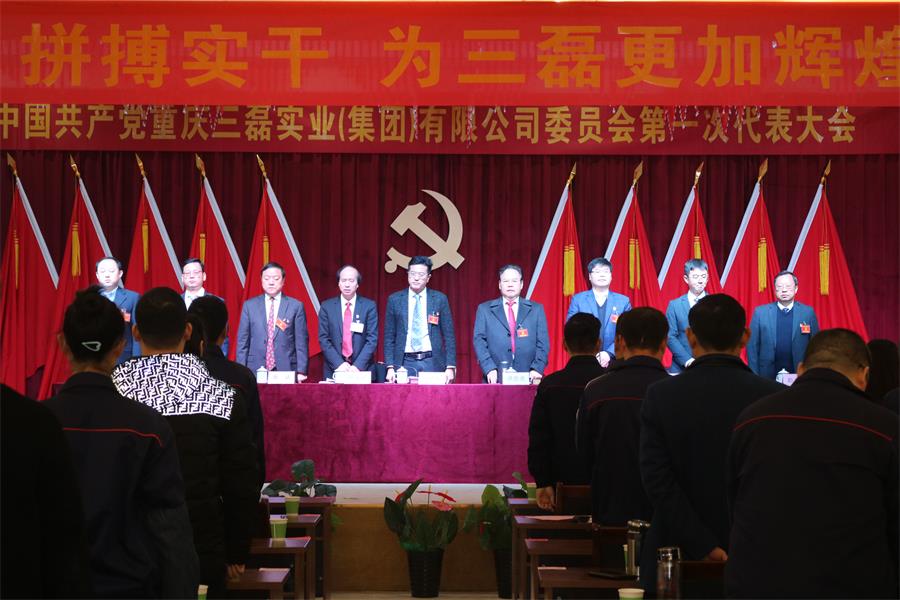 中共重庆三磊实业（集团）有限公司委员会正式成立